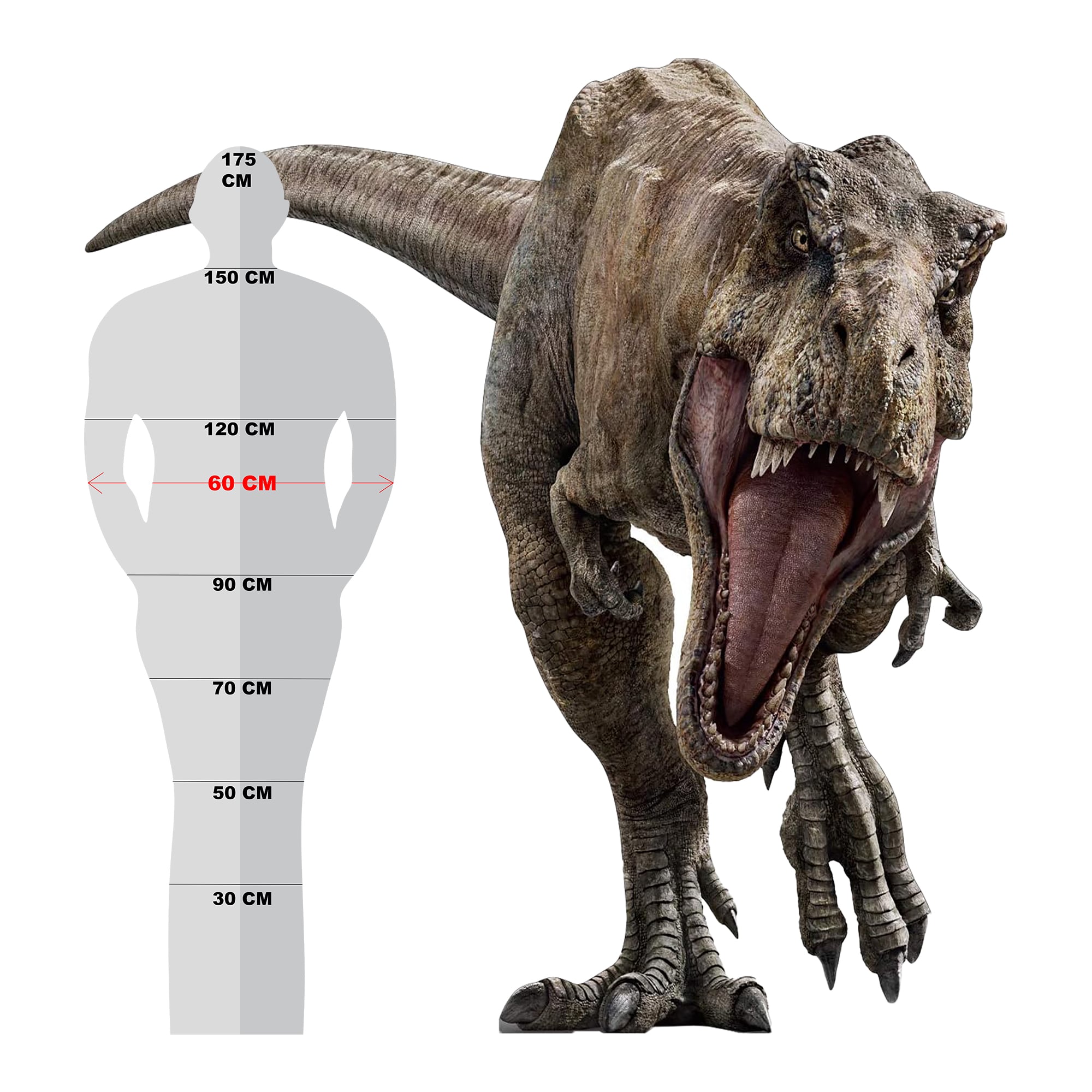T Rex Jurassic Park Dinozor Figürü Dekor Maketi Ayaklı  2 Boyutlu Tam Boy Plastik Maket